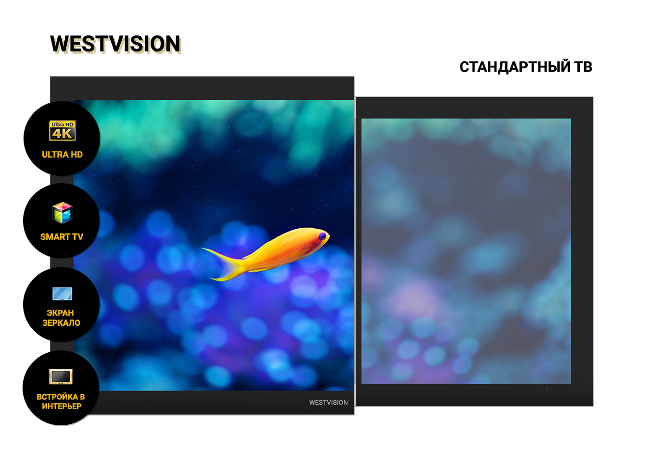 TVComparison
