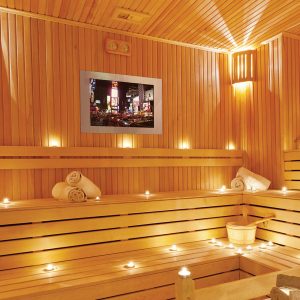 Телевизор для сауны Sauna TV 49